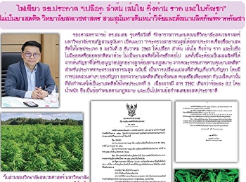 ข่าวแก้วเจ้าจอม ฉบับที่ 23968
ประจำวันที่ 22  ธันวาคม 2563